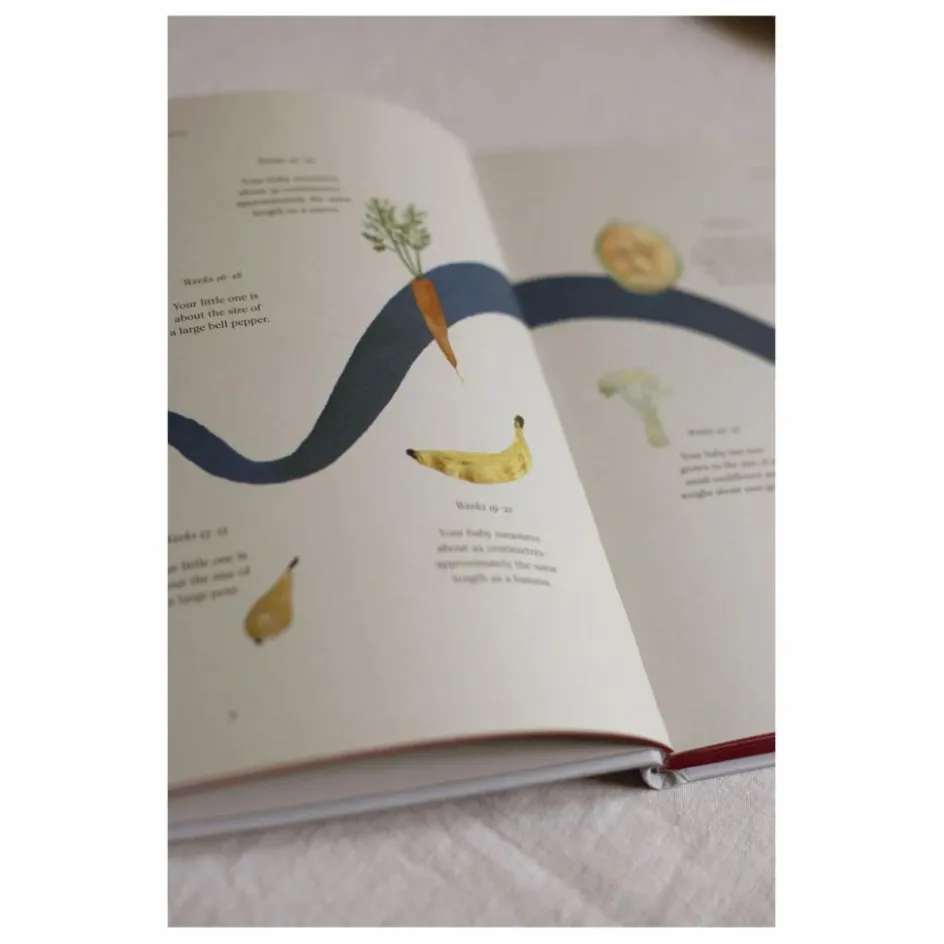 Specialday Premiers Souvenirs|Puériculture*Journal de grossesse My Pregnancy - EN |
