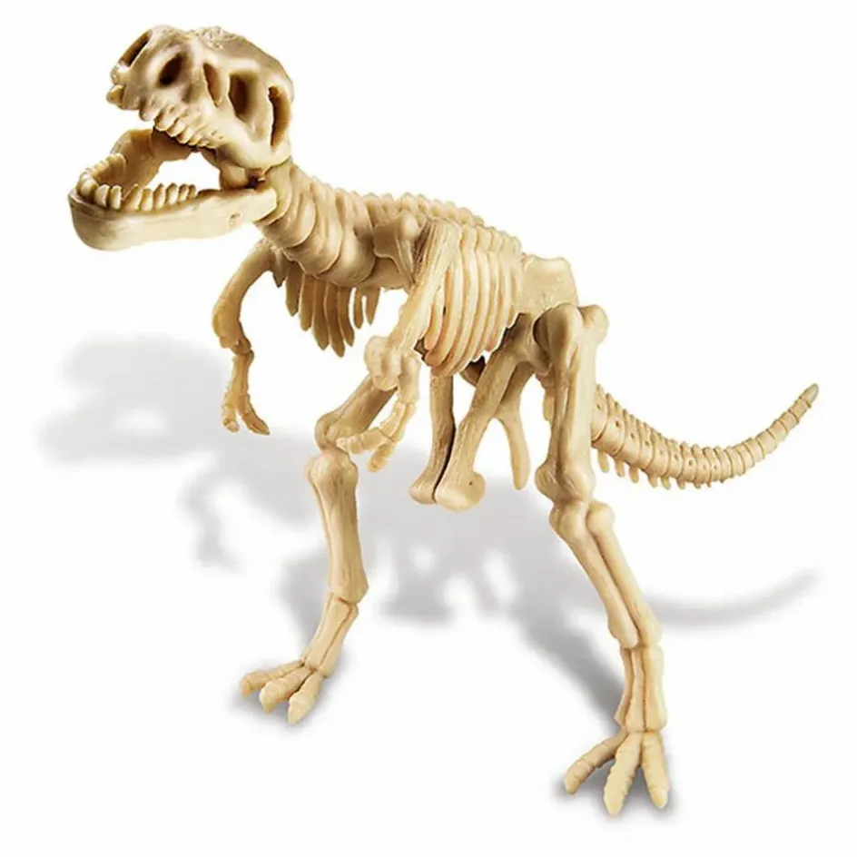 4M Jeux Éducatifs*Kit déterre ton dinosaure T-Rex