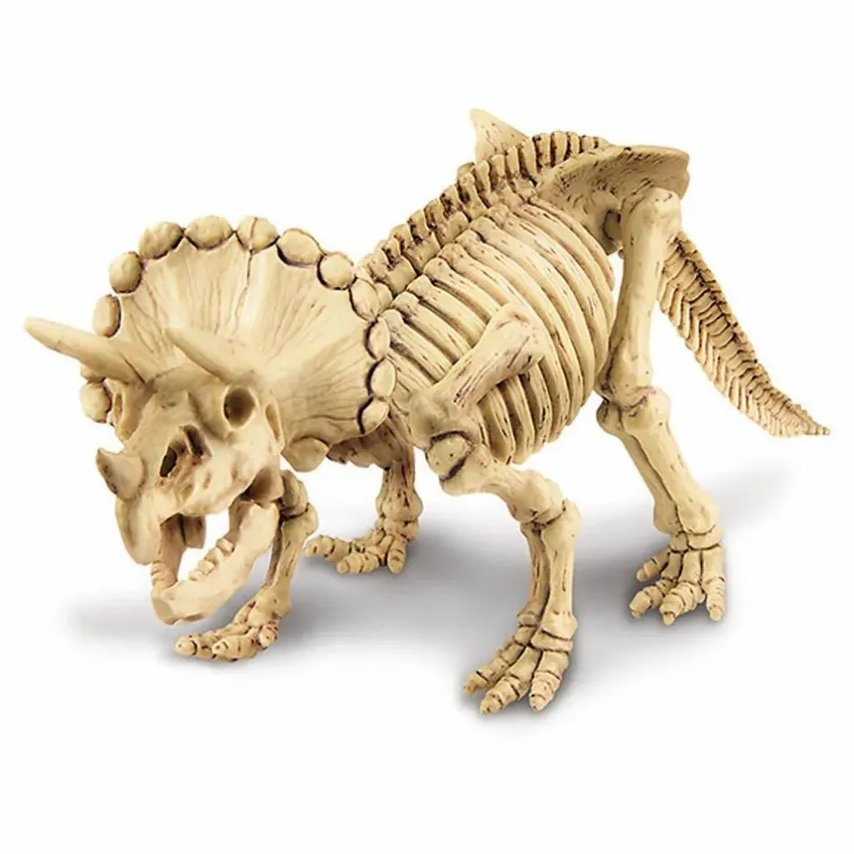 Clearance 4M Kit déterre ton dinosaure Tricératops Multicolore