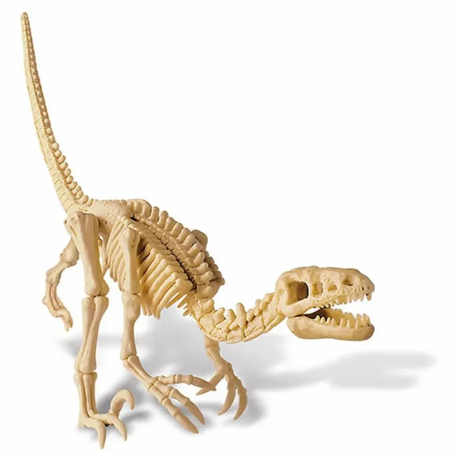4M Jeux Éducatifs*Kit déterre ton dinosaure Vélociraptor