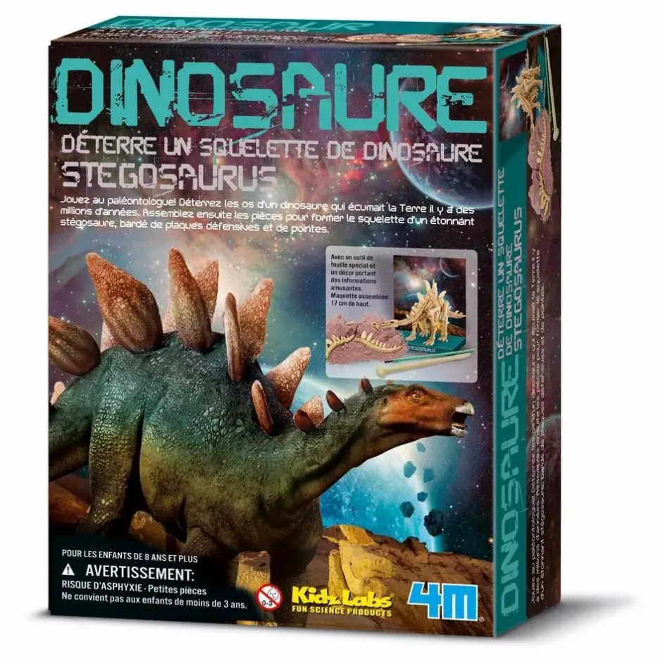 4M Jeux Éducatifs*Kit déterre ton dinosaure Stégosaure