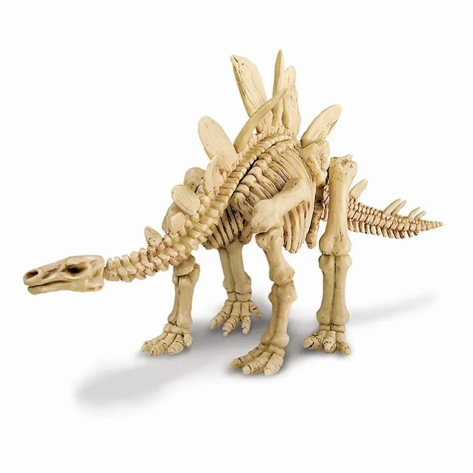 4M Jeux Éducatifs*Kit déterre ton dinosaure Stégosaure