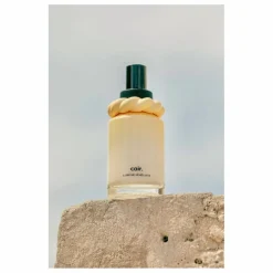 CAIR by La Bonne Brosse La Brume Démêlante - 100ml|Femme Soins Des Cheveux