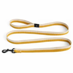 Best Laisse | Accessoires Animaux