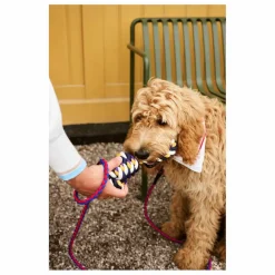 Hay Accessoires Animaux*Laisse réglable |