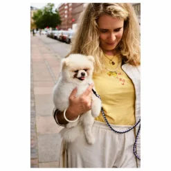 Discount Laisse réglable | Accessoires Animaux