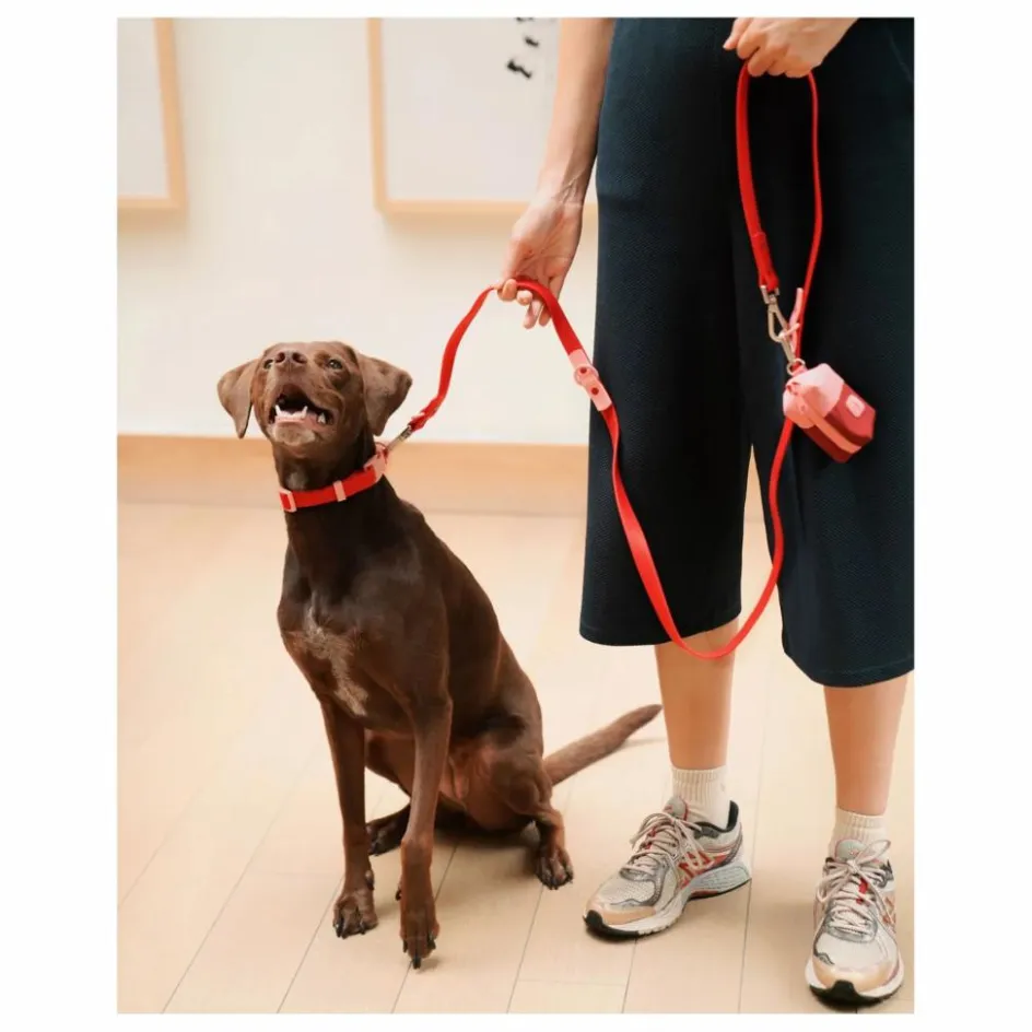 Online Laisse réglable pour chien | Accessoires Animaux