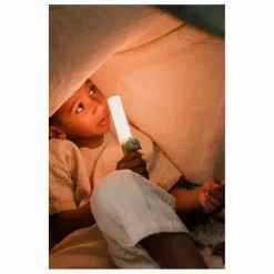 Online The Zoofamily Lampe de poche Dino | Vert