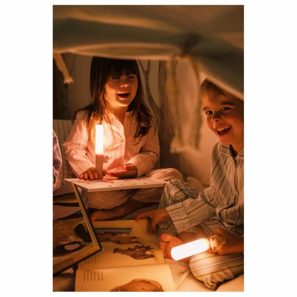 The Zoofamily Lampe de poche Renard || Jeux High-Tech