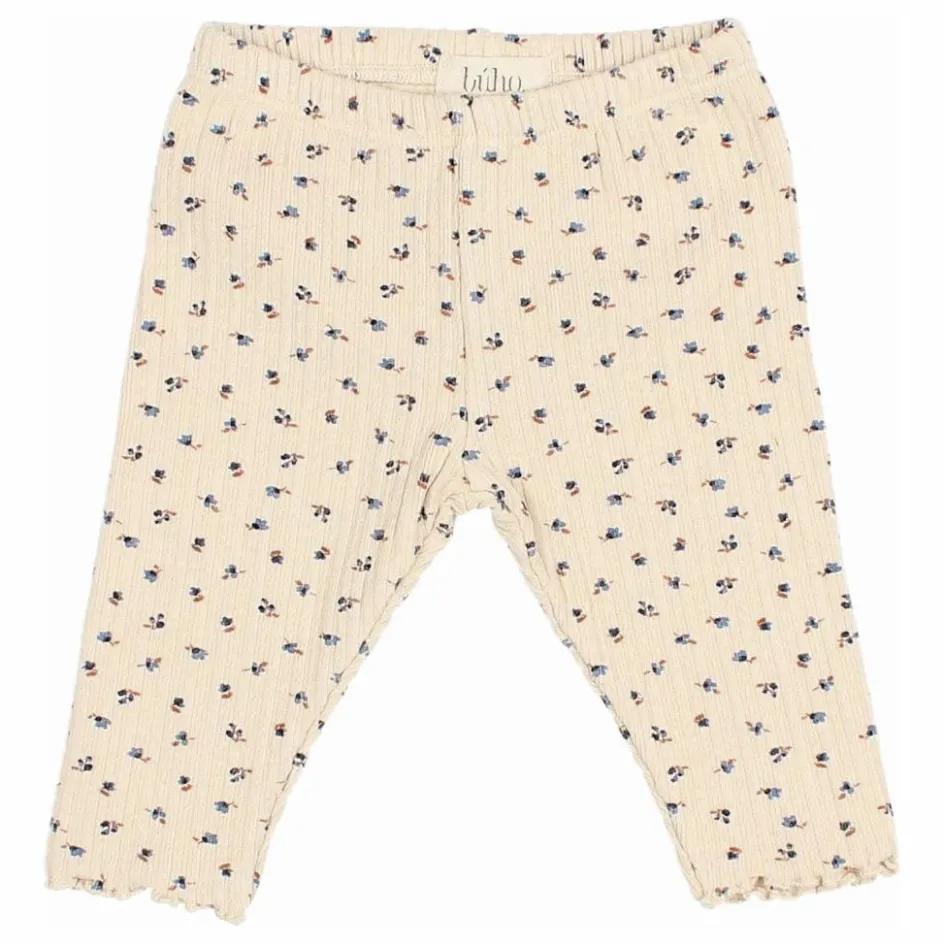 Búho Legging Côtelé || Leggings, Pantalons