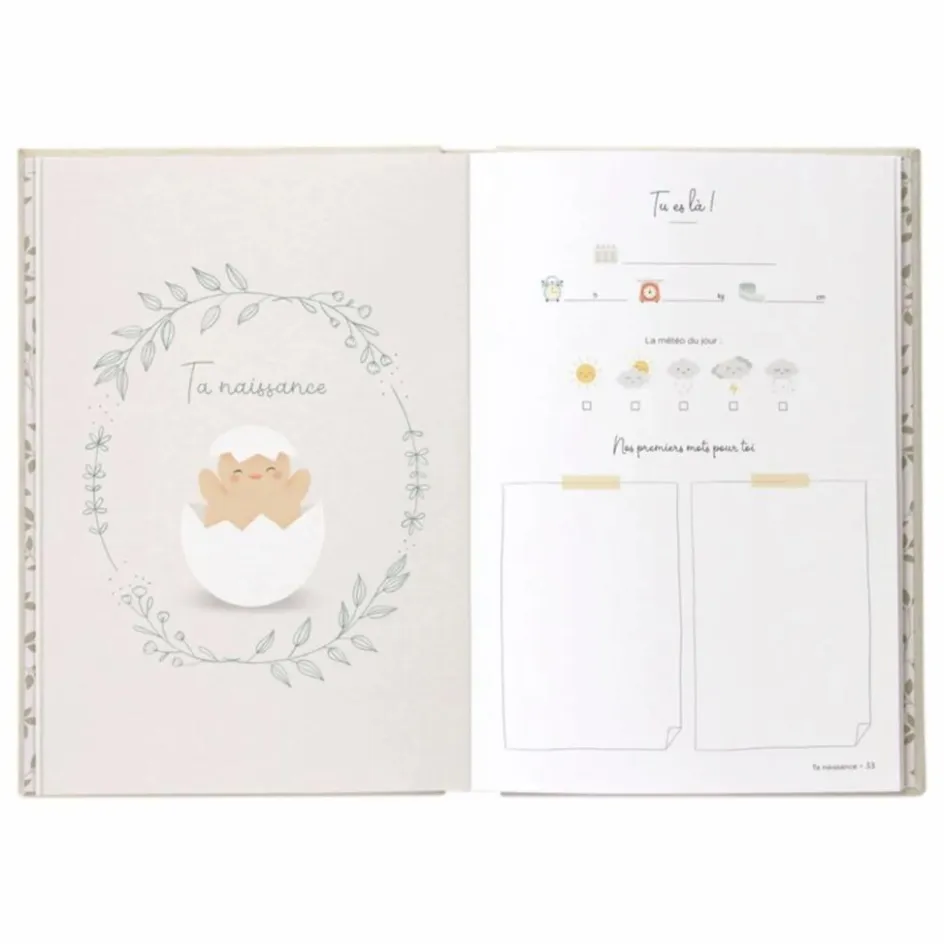 Zü Premiers Souvenirs|Cadeau De Naissance*Livre de souvenir Tes 10 premières années