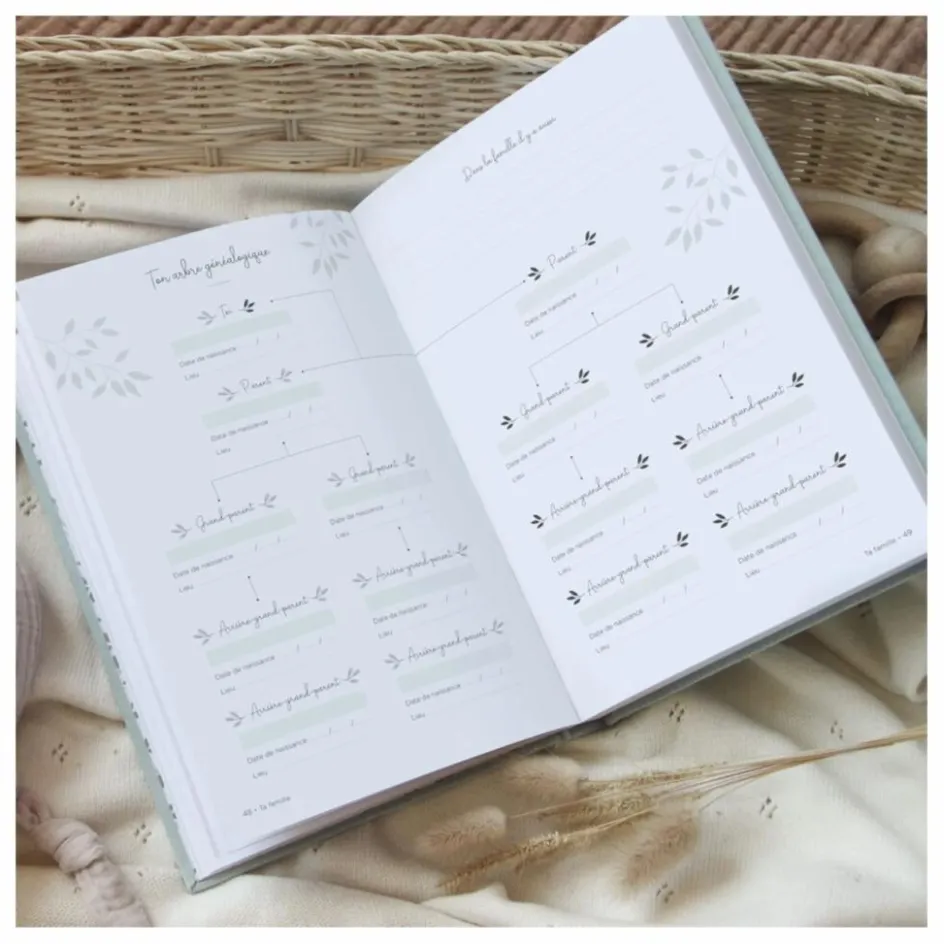 Zü Premiers Souvenirs|Cadeau De Naissance*Livre de souvenir Tes 10 premières années
