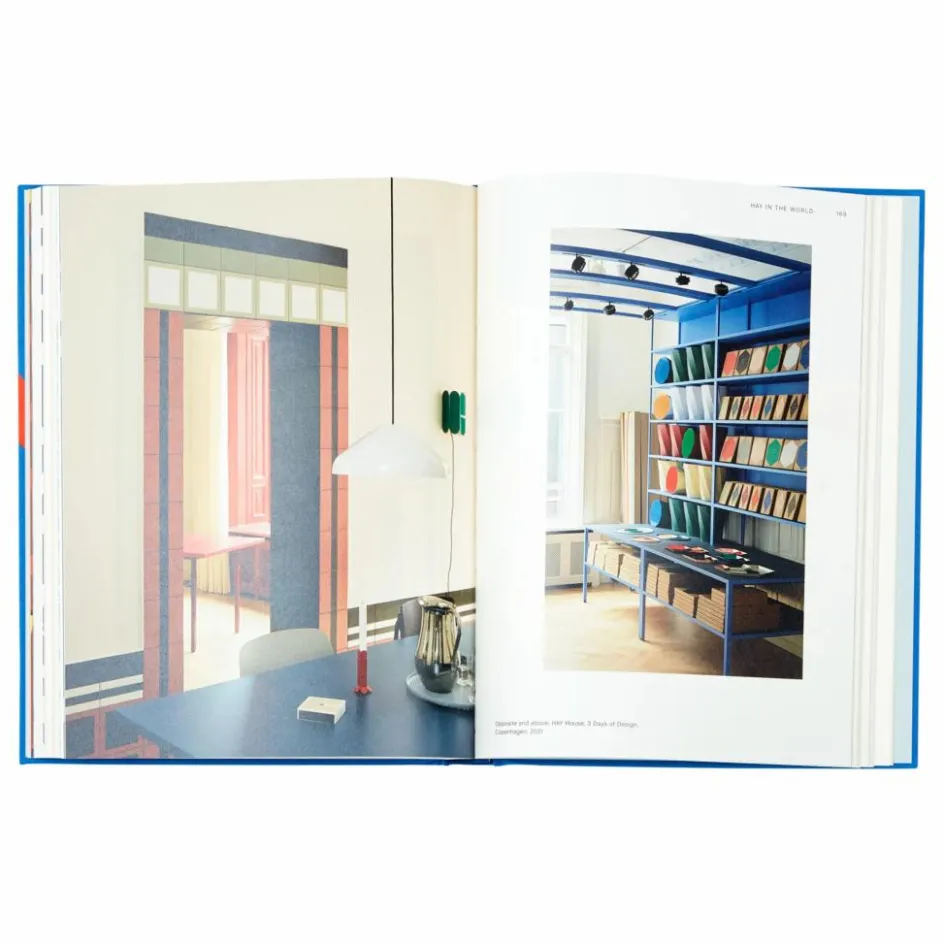 Discount Hay Livre - EN | Bleu électrique