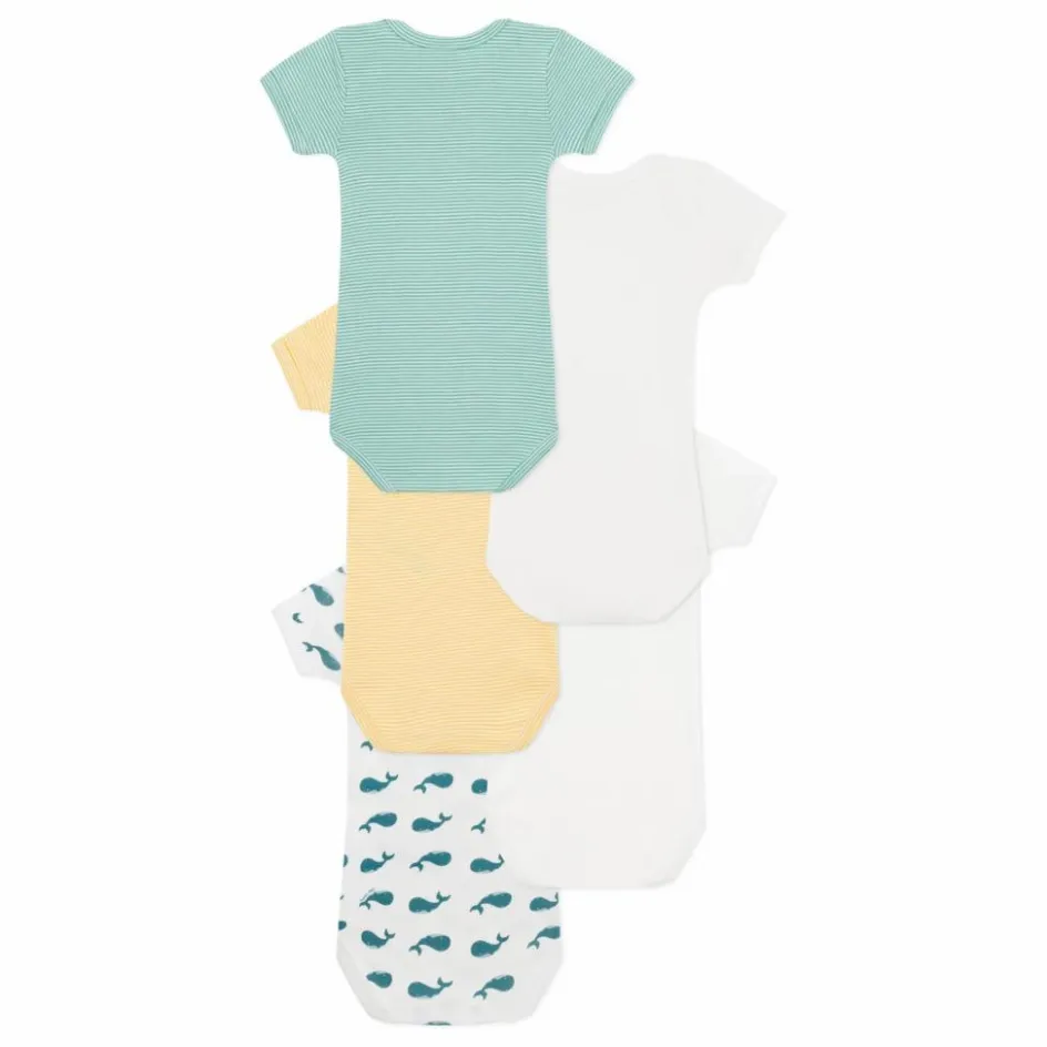 Hot Lot 5 Bodies Baleine Coton Bio | Bodies, Combinaisons|Pyjamas Et Bodies