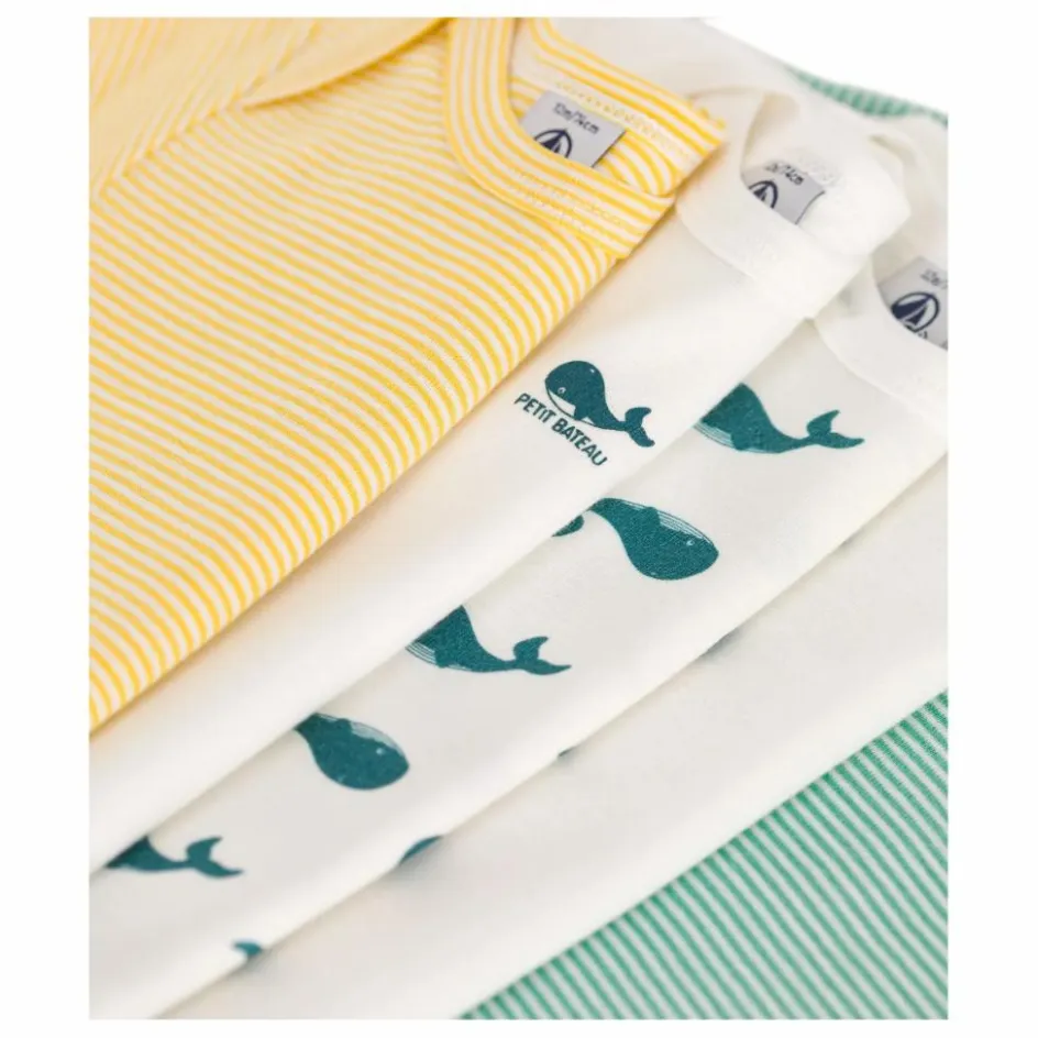 Hot Lot 5 Bodies Baleine Coton Bio | Bodies, Combinaisons|Pyjamas Et Bodies