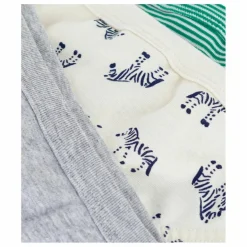 Petit Bateau Lot 3 Slips Zèbres ||Enfant Nuit, Sous-Vêtements