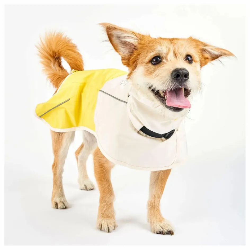 The Furry Folks Manteau de pluie Venture || Accessoires Animaux