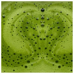 Matcha latte essentiel activateur de métabolisme - 146g Homme Compléments Alimentaires|Soins, Wellness