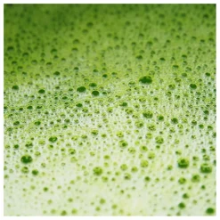 Matcha latte essentiel activateur de métabolisme - 146g Homme Compléments Alimentaires|Soins, Wellness