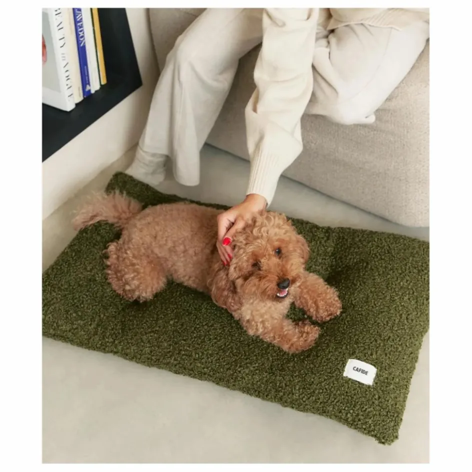 Cafide Accessoires Animaux*Matelas pour chien Bela |