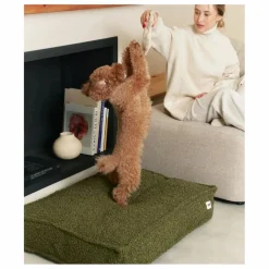 New Cafide Matelas pour Chien en bouclette Cuadra | Vert