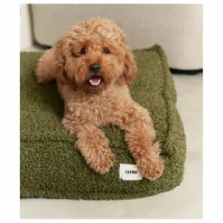 New Cafide Matelas pour Chien en bouclette Cuadra | Vert