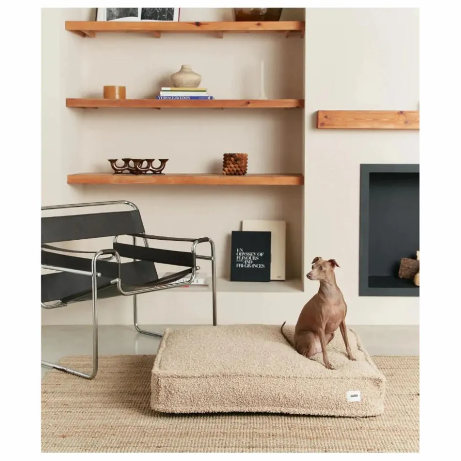Cafide Accessoires Animaux*Matelas pour Chien en bouclette Cuadra |