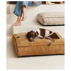 Cafide Accessoires Animaux*Matelas pour Chien en velours côtelé Cuadra |
