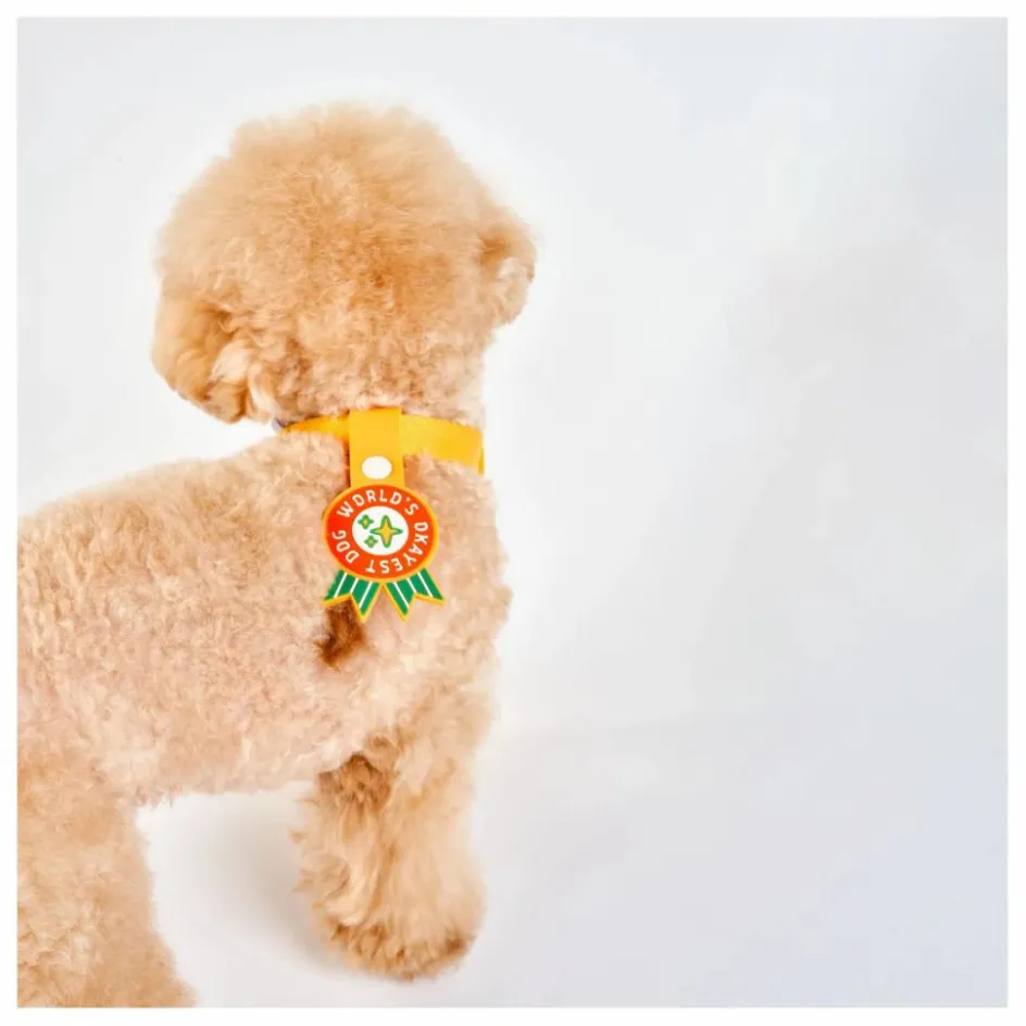 The Furry Folks Accessoires Animaux*Médaille World's Okayest Dog |