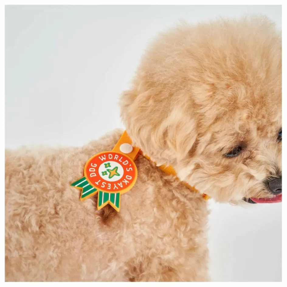 The Furry Folks Accessoires Animaux*Médaille World's Okayest Dog |