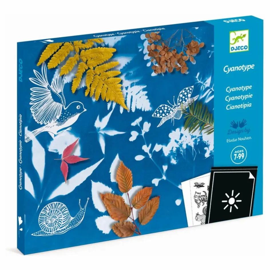 Mon premier kit Cyanotype Loisirs Créatifs
