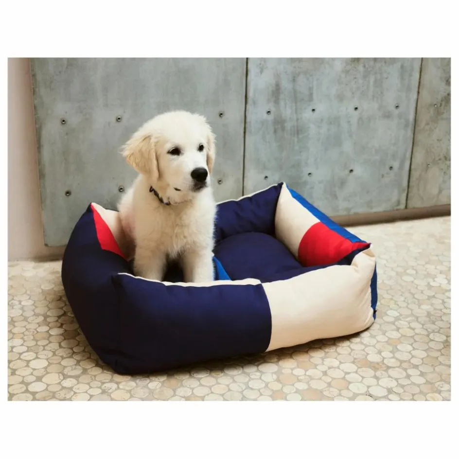 Discount Hay Panier pour chien | Bleu foncé