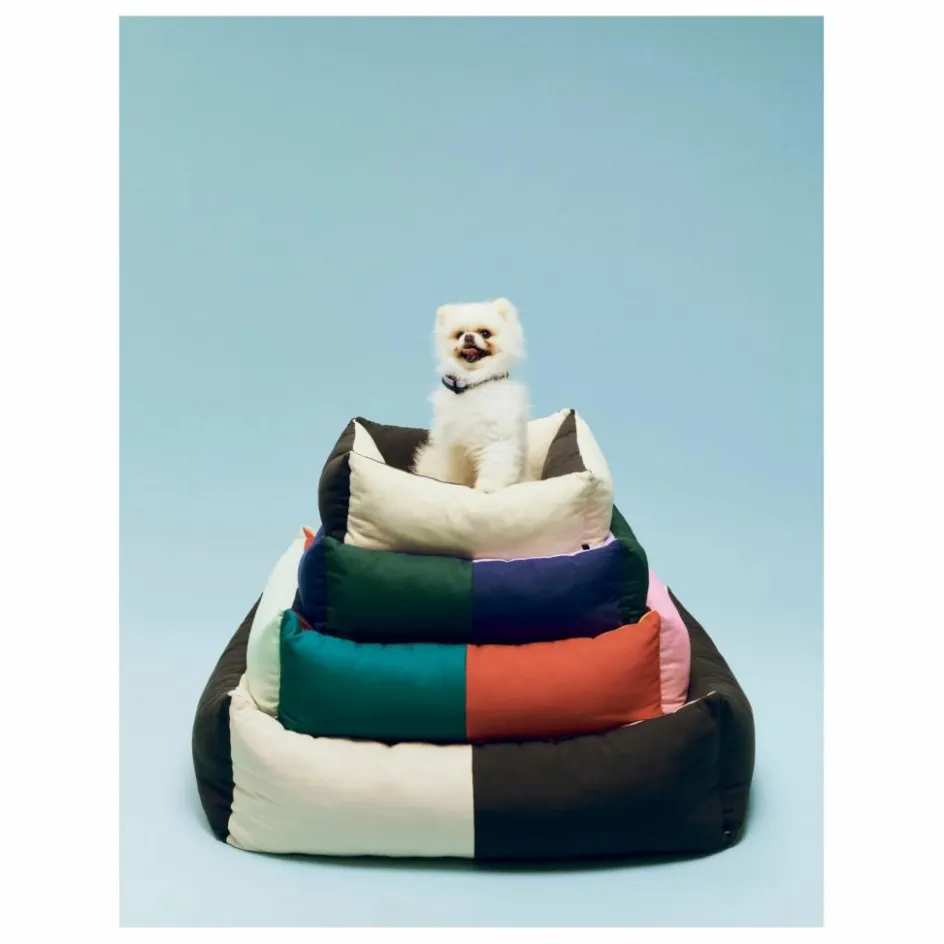 New Hay Panier pour chien | Vert