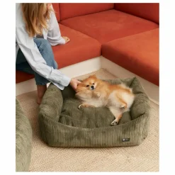 Hot Cafide Panier pour chien en velours côtelé Snozy | Vert