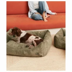 Hot Cafide Panier pour chien en velours côtelé Snozy | Vert