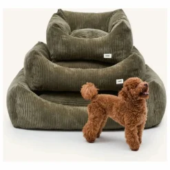 Hot Cafide Panier pour chien en velours côtelé Snozy | Vert