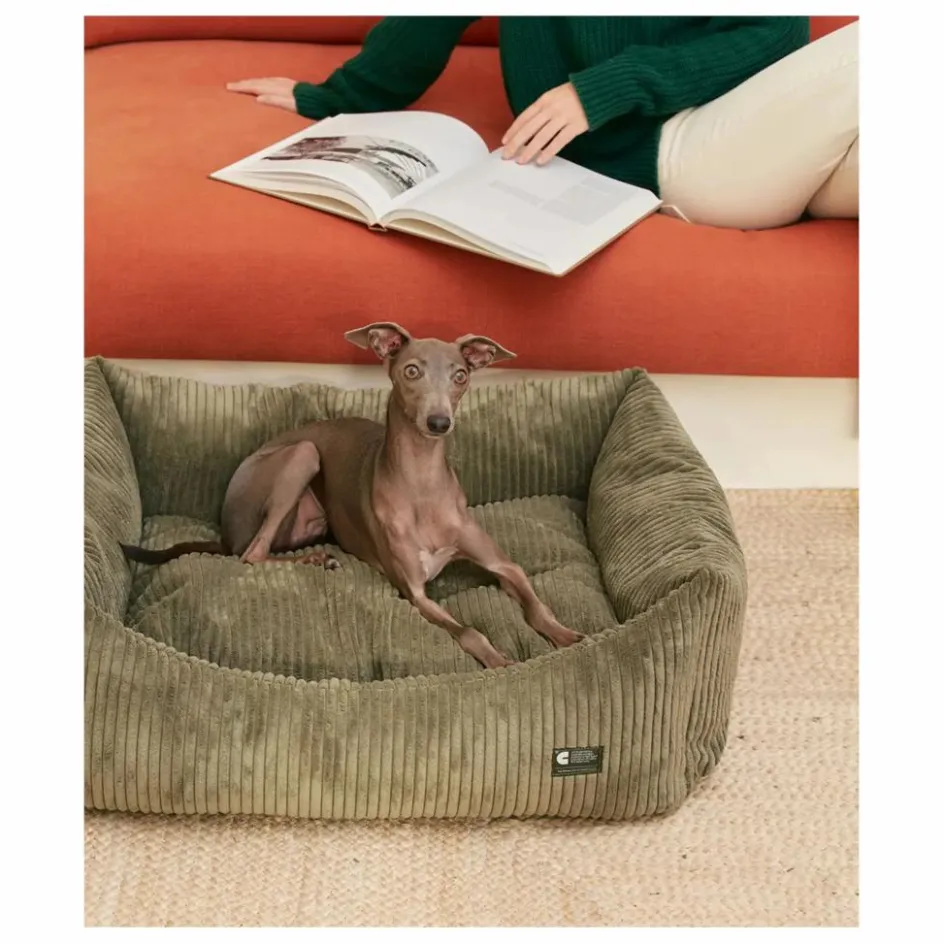Hot Cafide Panier pour chien en velours côtelé Snozy | Vert