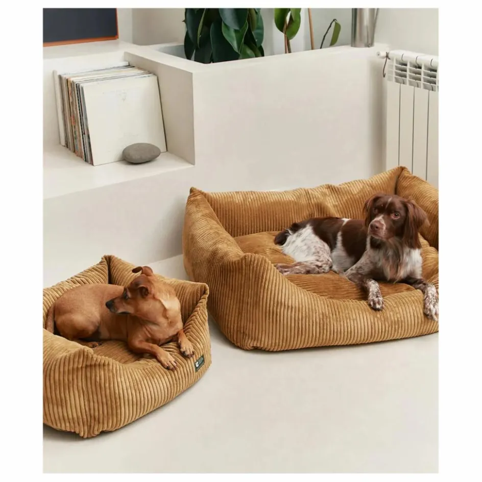 Cafide Accessoires Animaux*Panier pour chien en velours côtelé Snozy |
