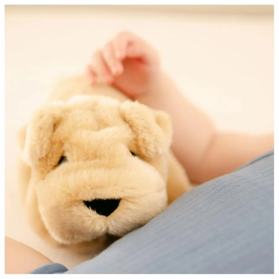 Discount Peluche Chien Hector 20 cm | Doudous, Peluches|Doudous Et Peluches
