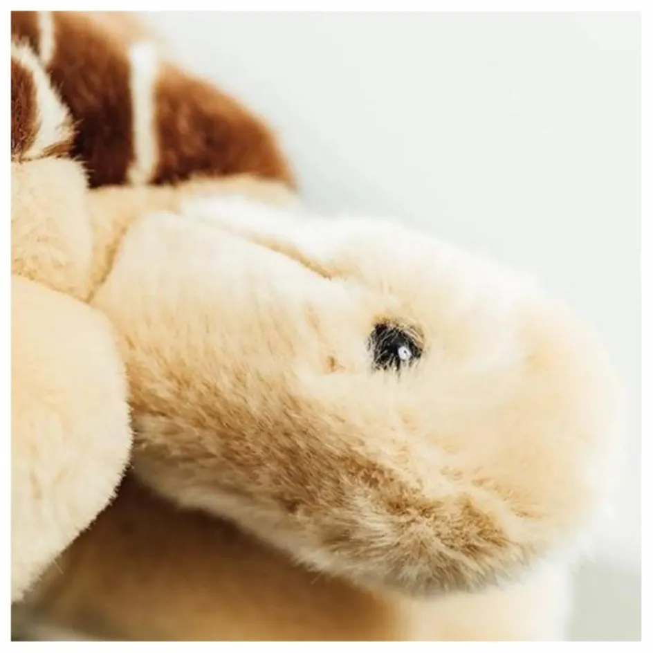 Best Peluche Ma Tortue Rosalie | Doudous, Peluches|Doudous Et Peluches