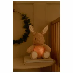 Little Dutch Doudous, Peluches|Doudous Et Peluches*Peluche musicale et lumineuse Lapin |