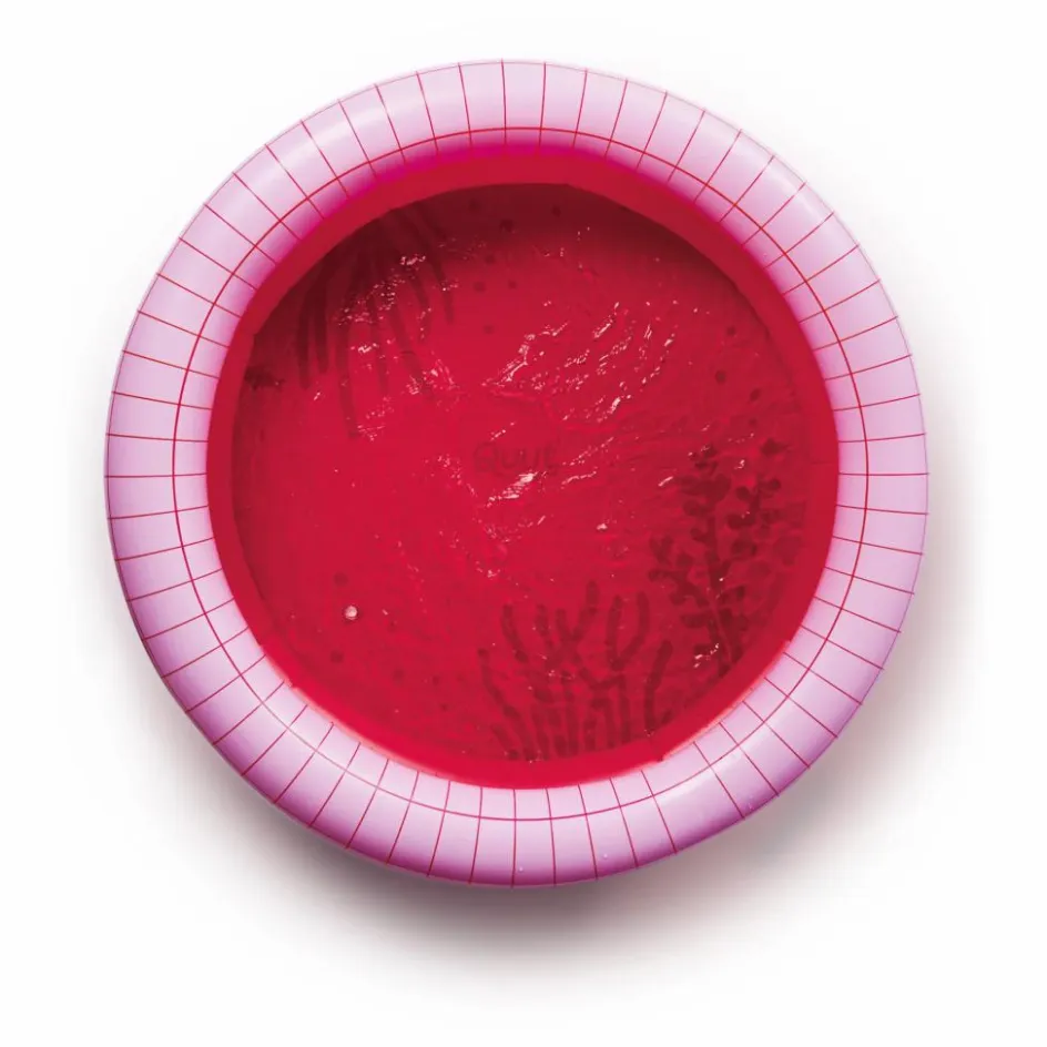 New Quut Piscine gonflable Cerise Multicolore