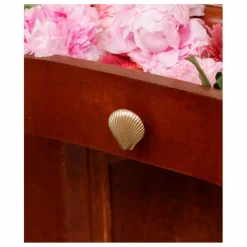 Doing Goods Poignée de porte en laiton Shell || Petits Rangements