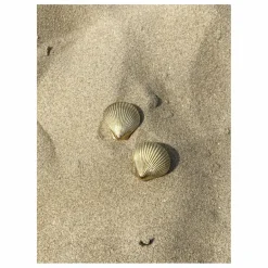 Doing Goods Poignée de porte en laiton Shell || Petits Rangements