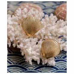Doing Goods Poignée de porte en laiton Shell || Petits Rangements