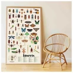 Online Poster sticker Les Insectes Loisirs Créatifs