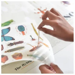 Online Poster sticker Les Insectes Loisirs Créatifs