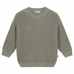 Hot Yuki Pull Chunky Coton Bio | Sauge
