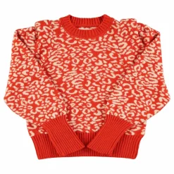 Sisters Department Pull Imprimé Animal ||Femme Pulls, Gilets
