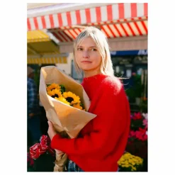 Outlet Surprise Paris Pull Jane Super Kid Mohair | Rouge